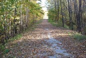 A Fresh Fall Day on the Bruce Trail